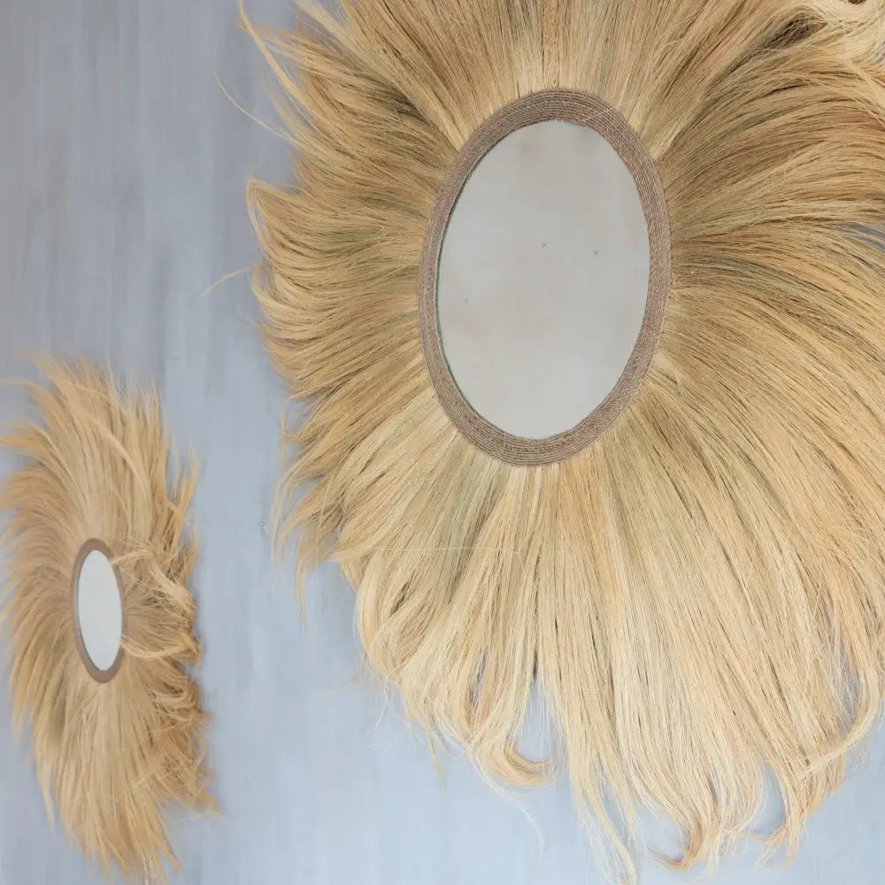 Miroir Simba