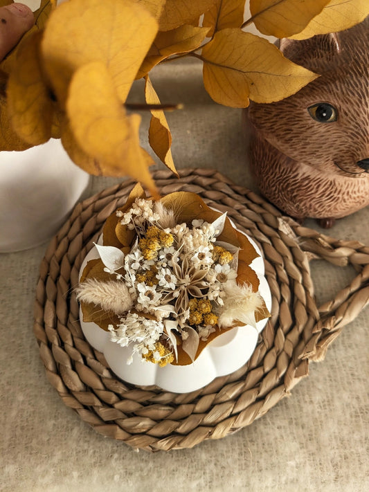 La citrouille et ses fleurs