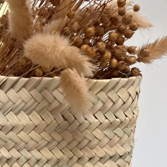 Panier Alba