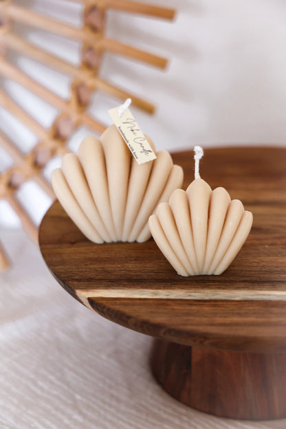 Bougies Coquilles beiges