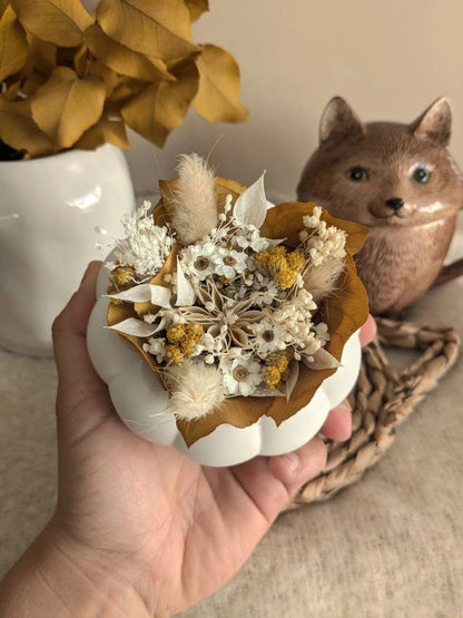 La citrouille et ses fleurs