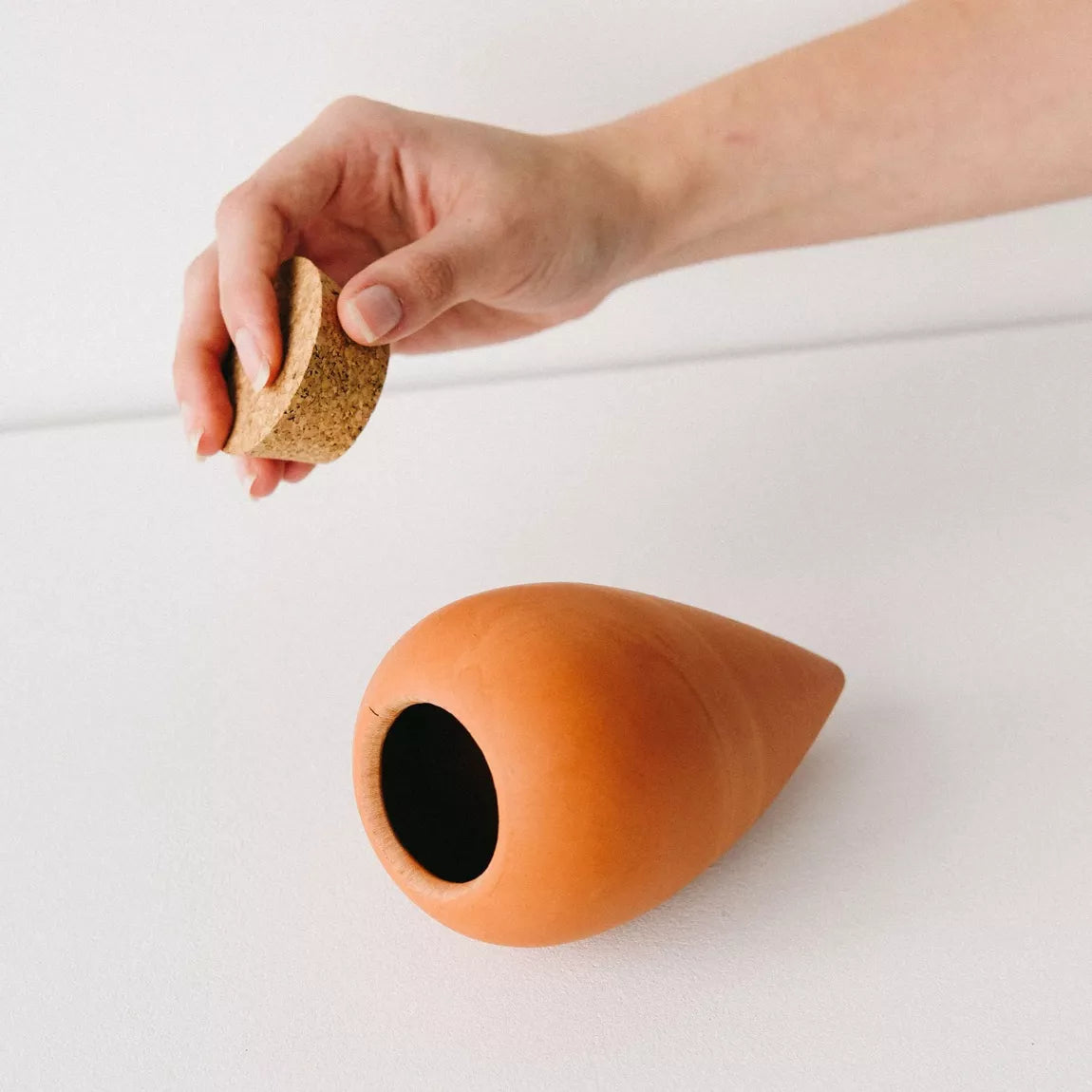 Olla Terracotta