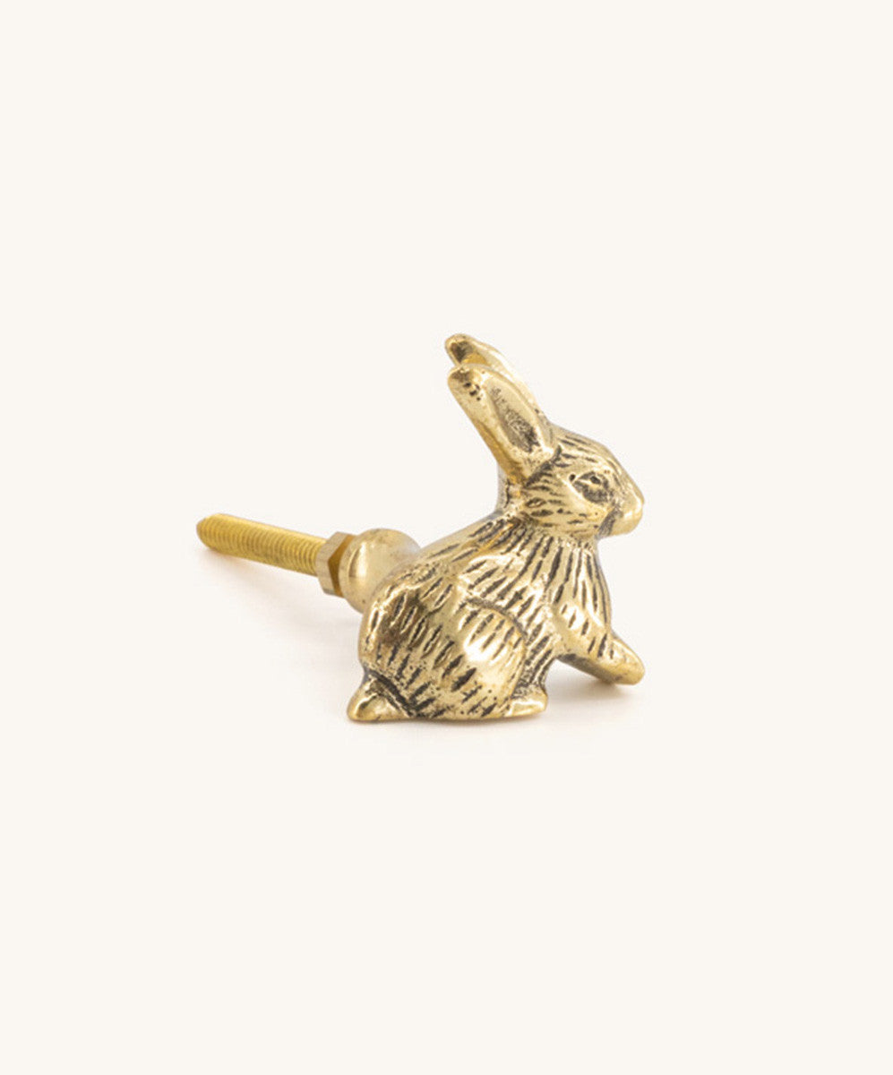 Bouton de meuble Praline