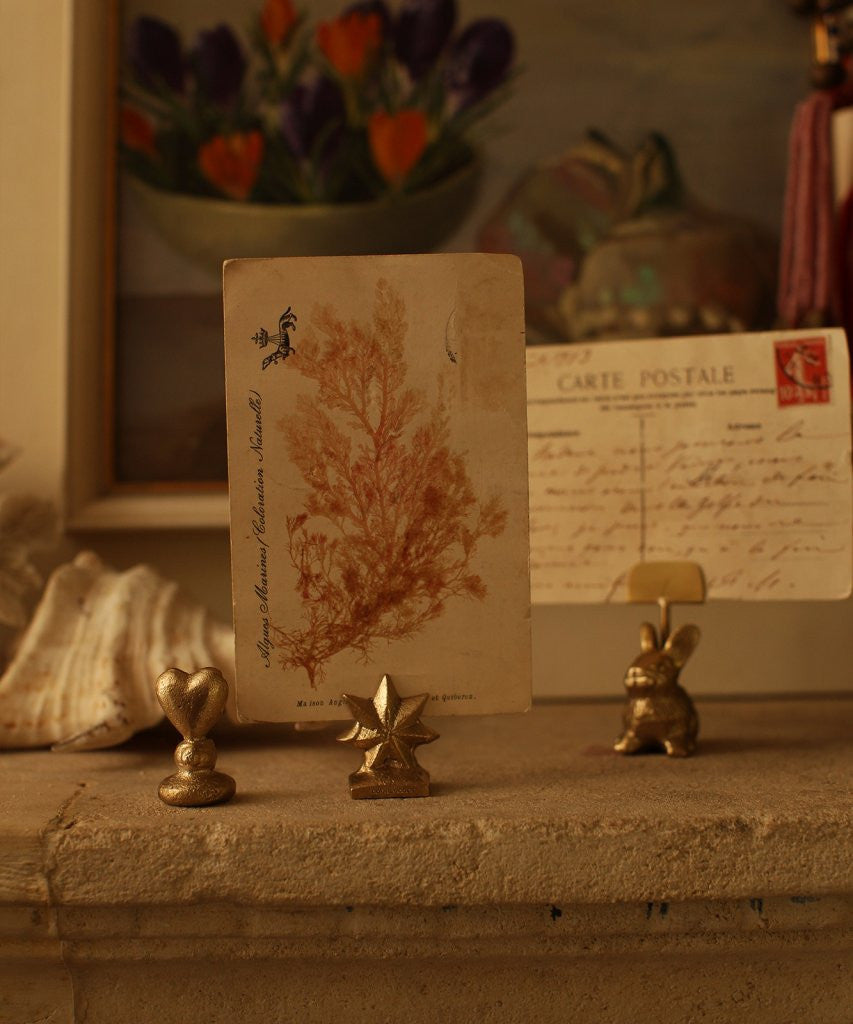 Porte-cartes Nova