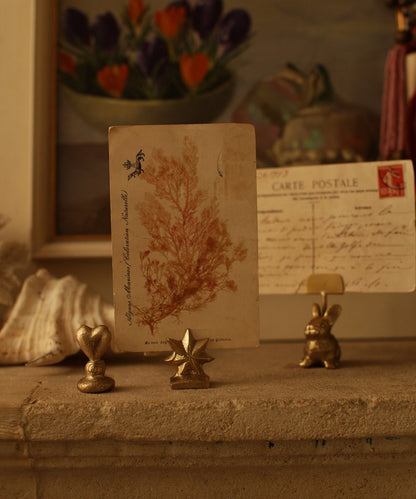 Porte-cartes Nova