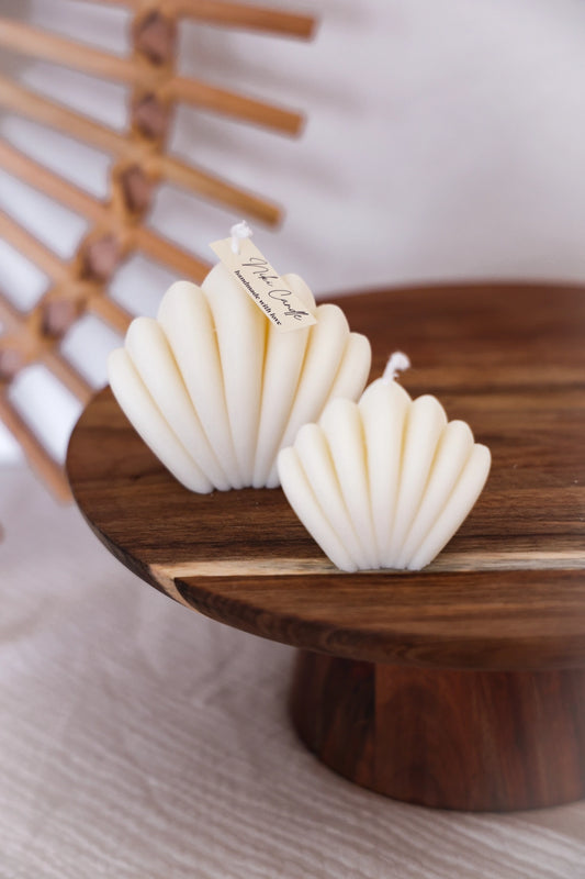 Bougies Coquilles blanches