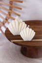 Bougies Coquilles blanches