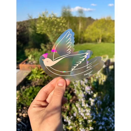 Attrape soleil Hirondelle