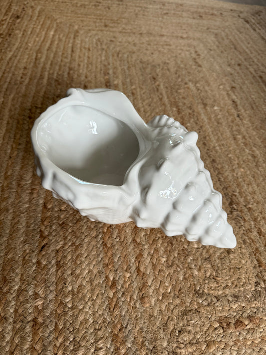 Pot Coquillage