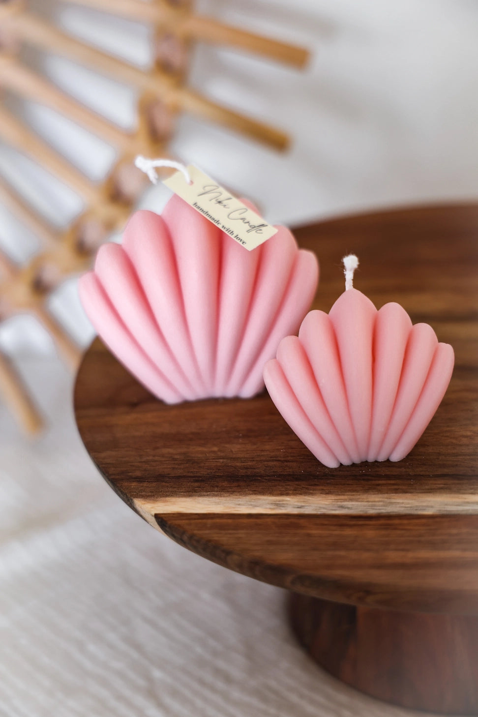 Bougies Coquilles roses