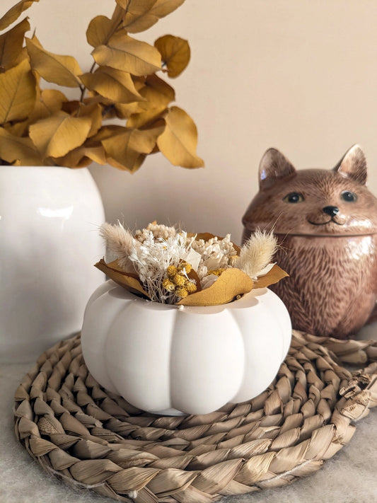 La citrouille et ses fleurs